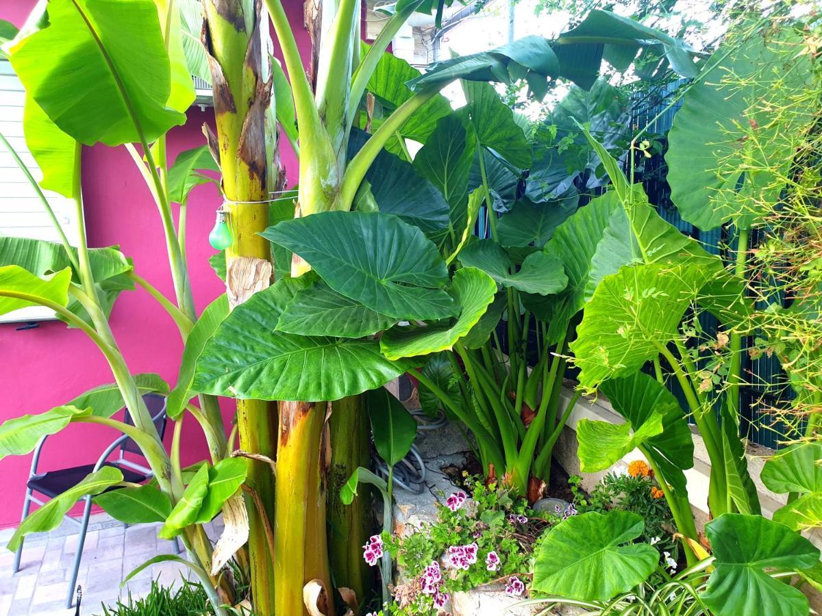 Aloe House Lakithra Villa ภายนอก รูปภาพ